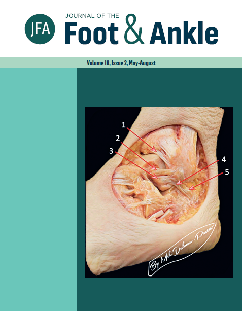 					View Vol. 18 No. 2 (2024):  Journal of the Foot and Ankle
				